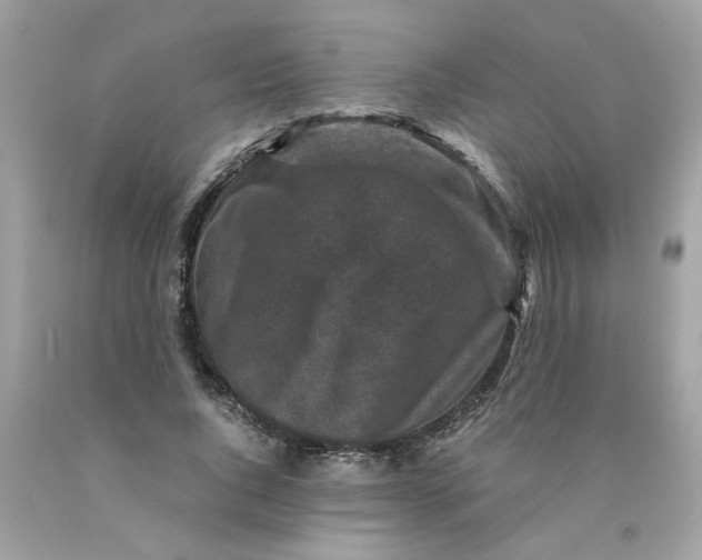 X0000089950736200707201925