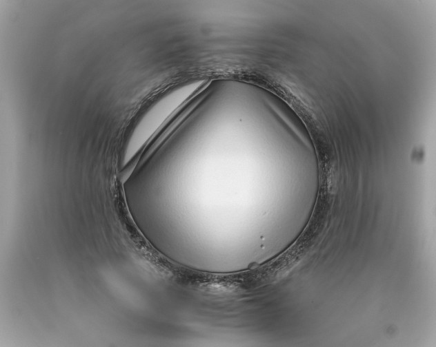 X0000089950737200707201925