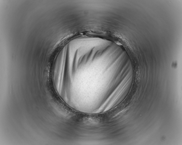 X0000089950739200707201925