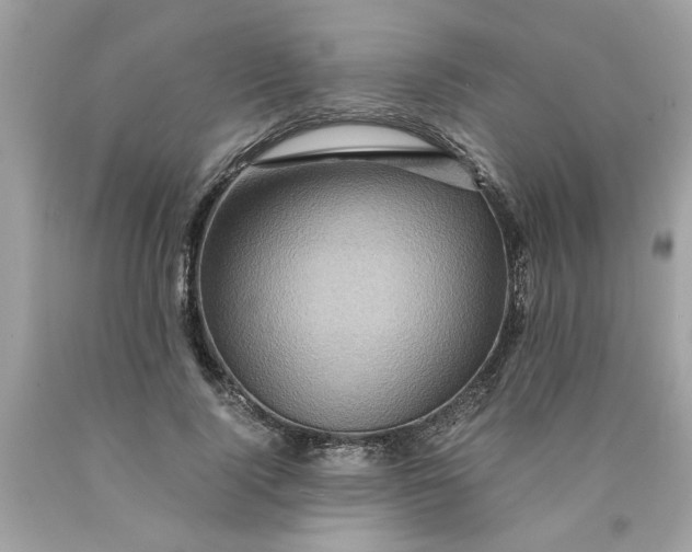 X0000089950740200707201925