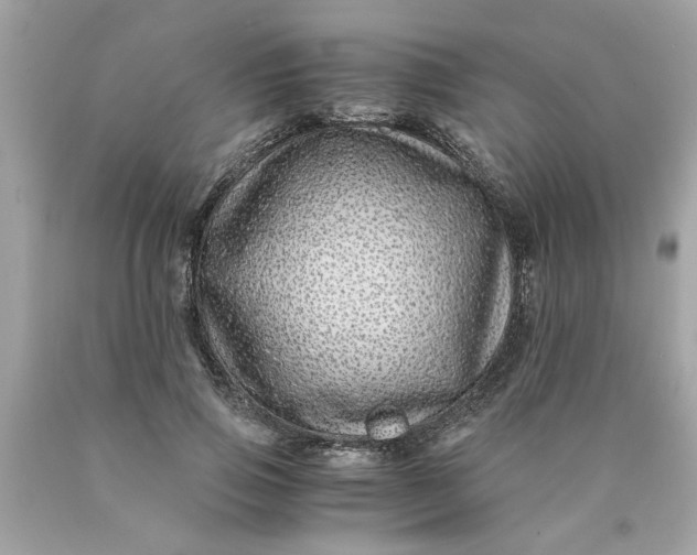 X0000089950741200707201925