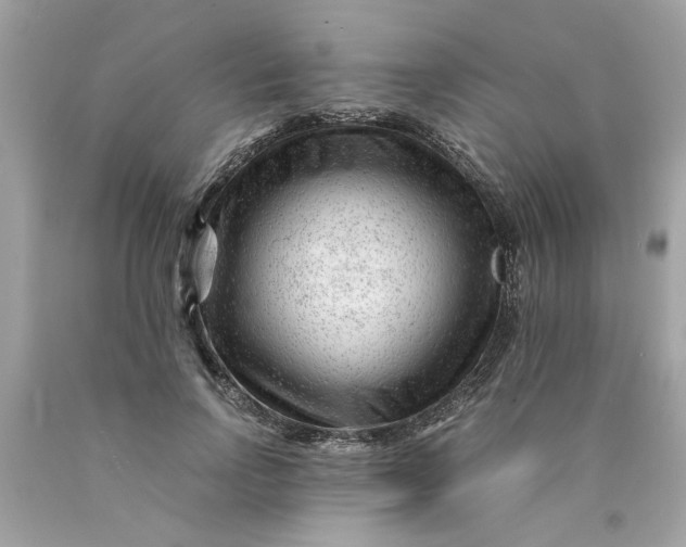 X0000089950742200707201925