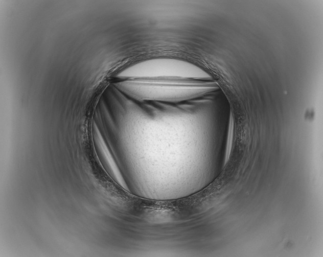 X0000089950743200707201925