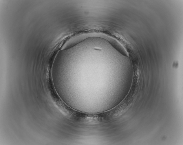 X0000089950744200707201925