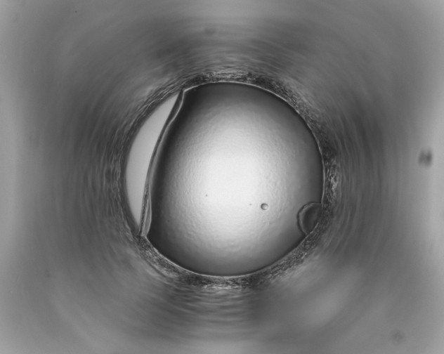 X0000089950745200707201925