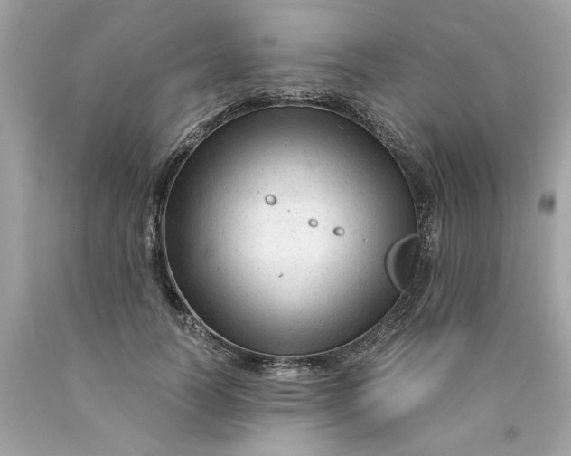 X0000089950746200707201925