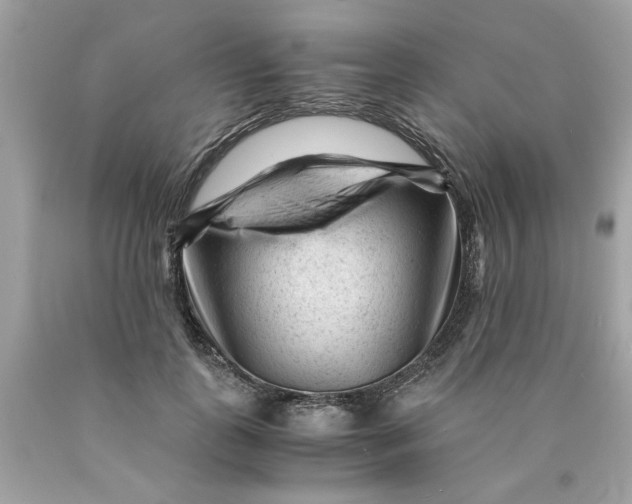 X0000089950747200707201925