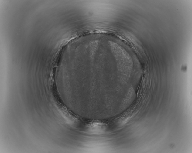 X0000089950748200707201925