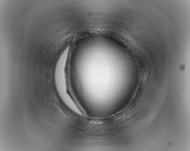 X0000089950749200707201925