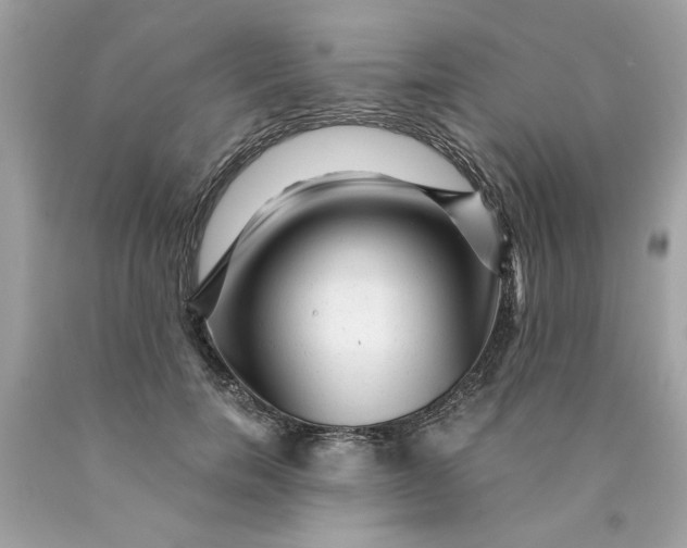 X0000089950750200707201925