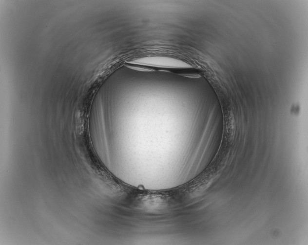 X0000089950751200707201925