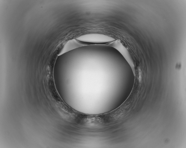 X0000089950752200707201925