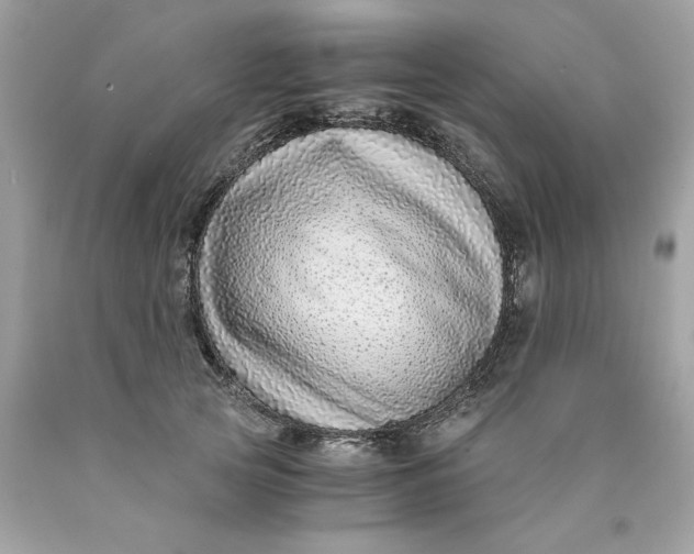 X0000089950753200707201925