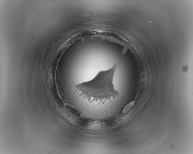 X0000089950754200707201925