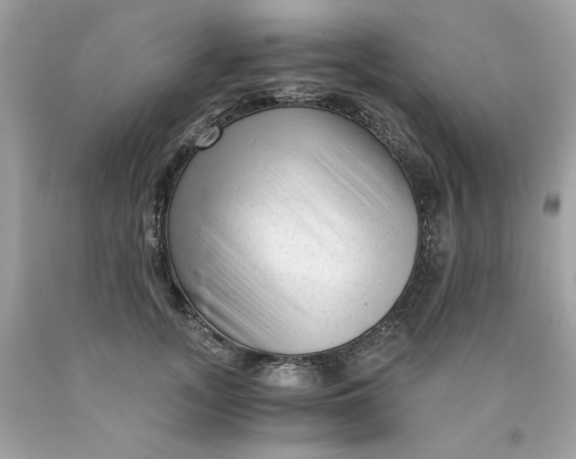 X0000089950755200707201925