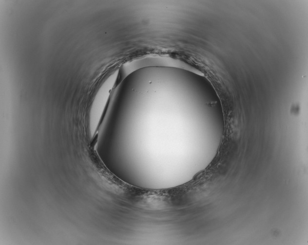 X0000089950756200707201925