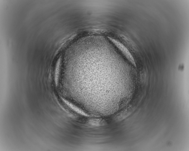 X0000089950757200707201925