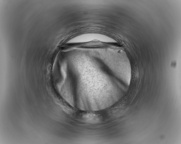 X0000089950759200707201925