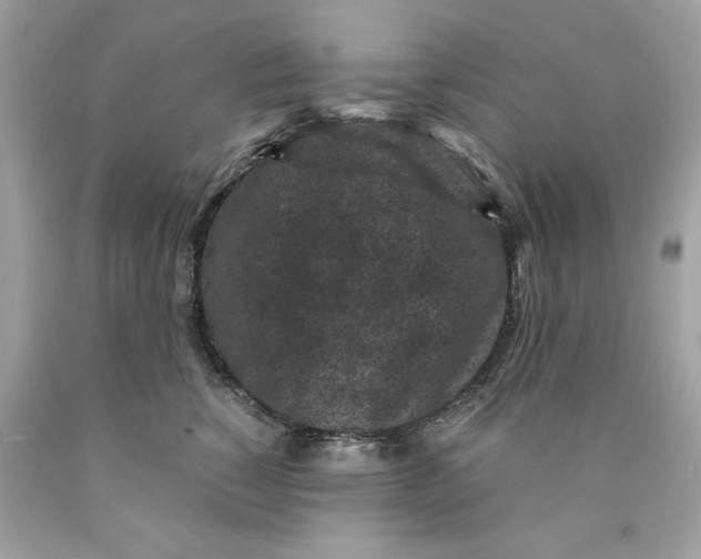 X0000089950760200707201925