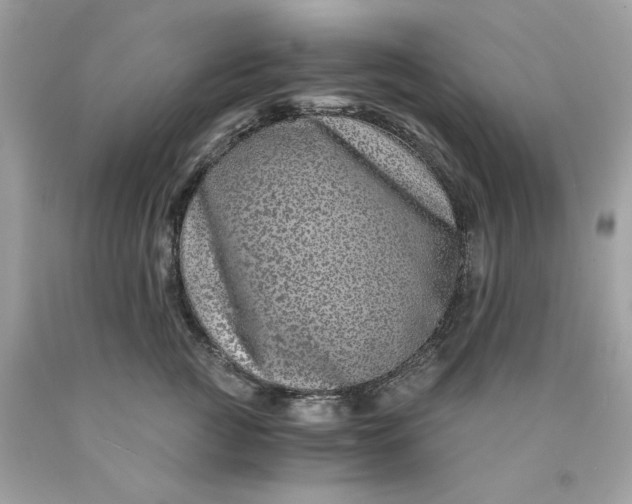 X0000089950761200707201925