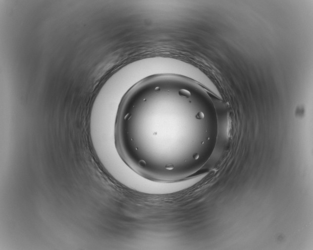 X0000089950762200707201925