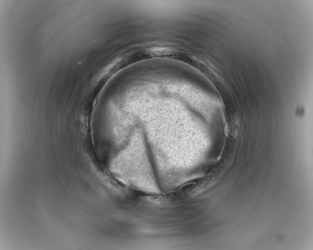 X0000089950763200707201925