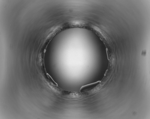 X0000089950764200707201925