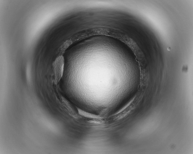 X0000089950765200707201925