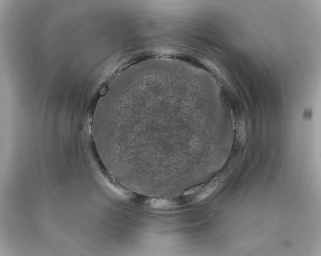 X0000089950766200707201925