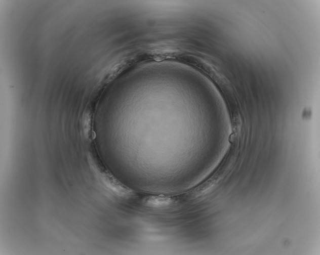 X0000089950767200707201925