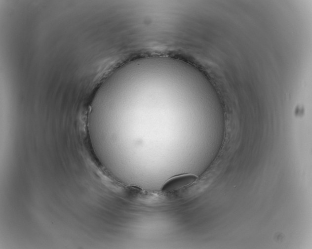 X0000089950768200707201925