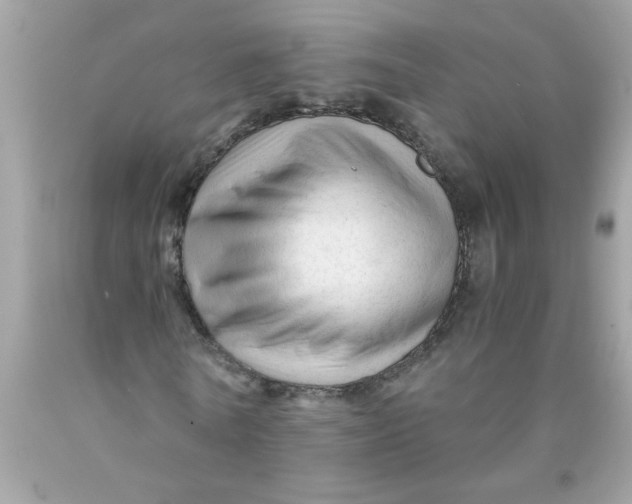 X0000089950770200707201924