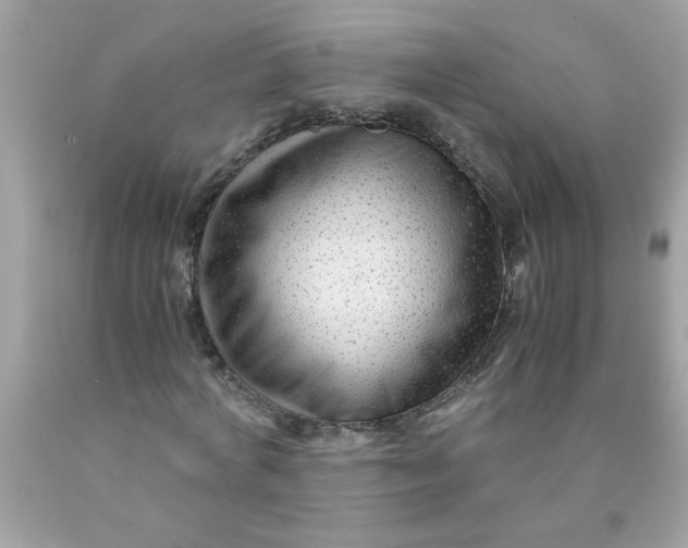 X0000089950772200707201924