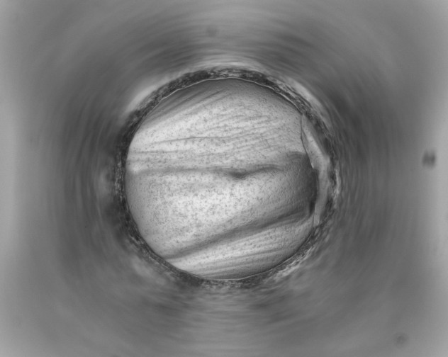 X0000089950775200707201924