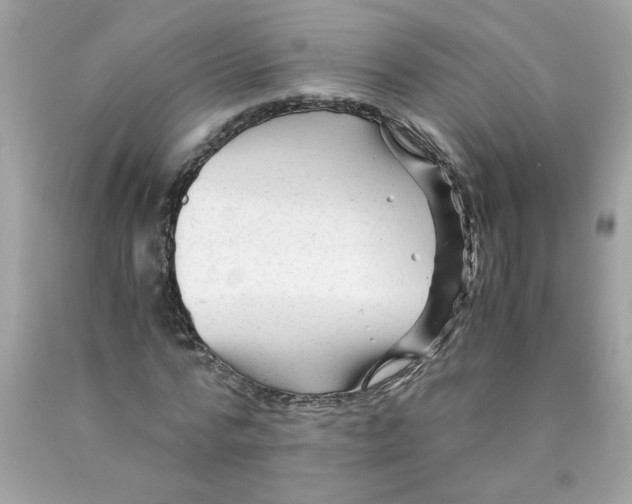 X0000089950776200707201924