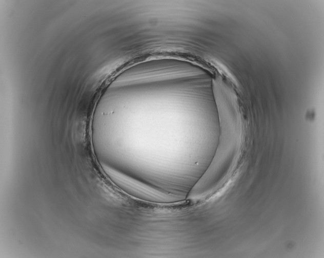 X0000089950777200707201924