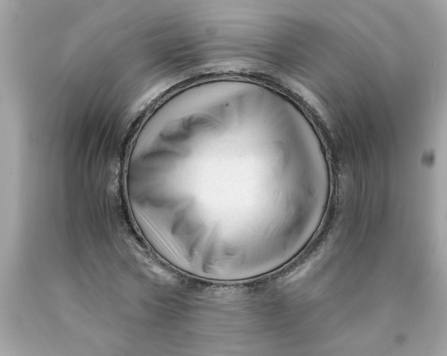 X0000089950778200707201924