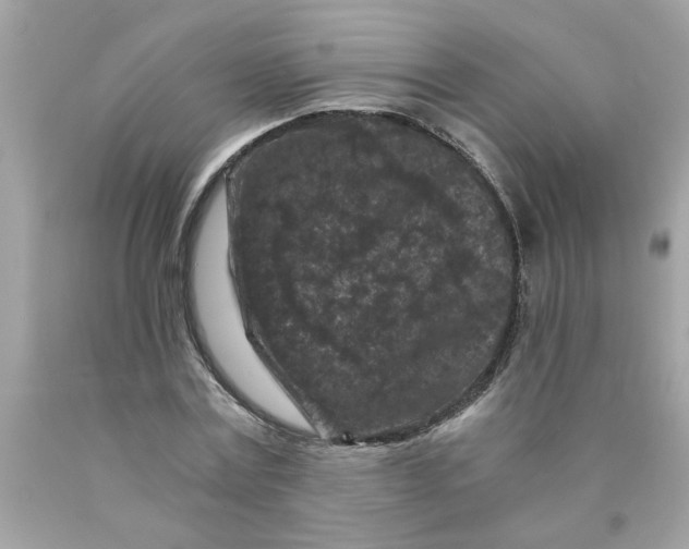 X0000089950779200707201924