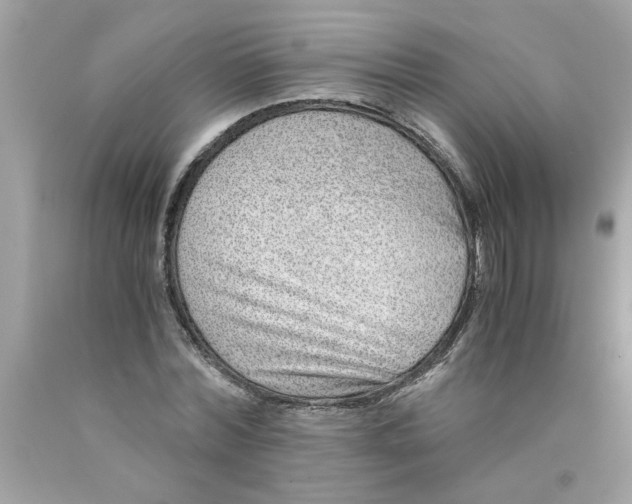 X0000089950780200707201924