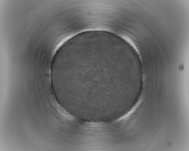 X0000089950781200707201924