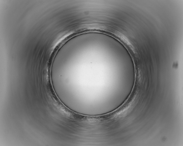 X0000089950782200707201924