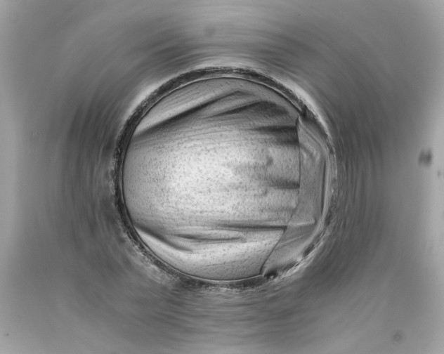 X0000089950783200707201924