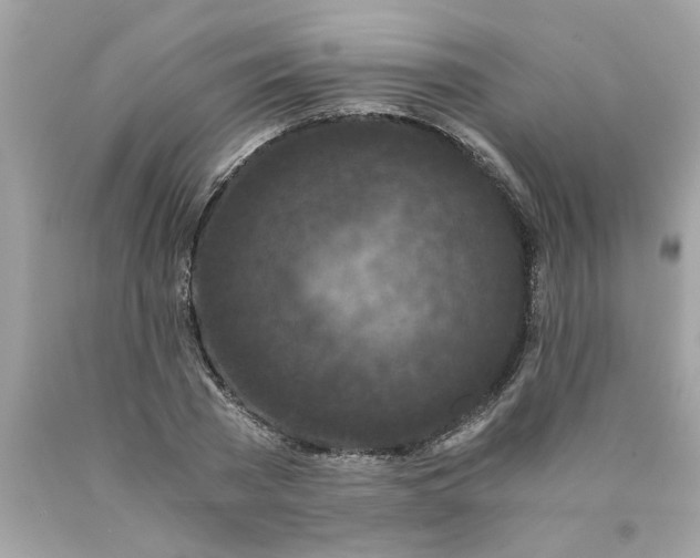 X0000089950785200707201924