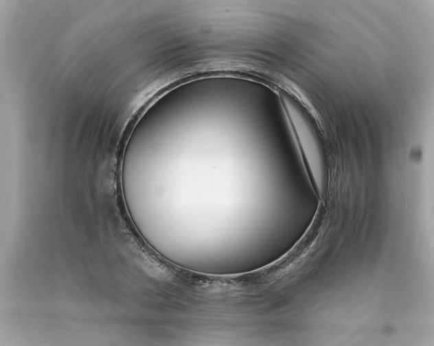 X0000089950786200707201924