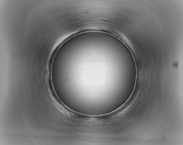 X0000089950787200707201924