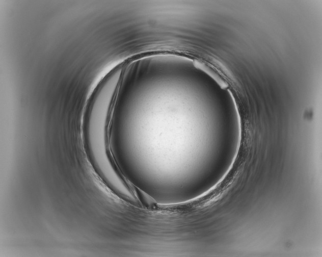 X0000089950788200707201924