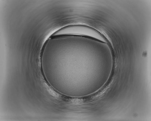 X0000089950789200707201924