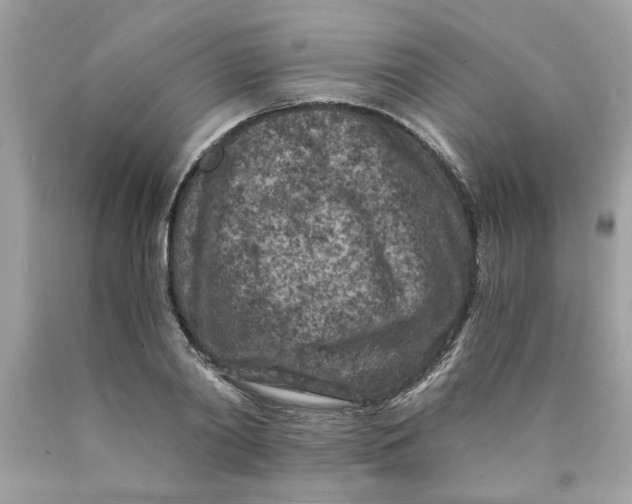 X0000089950790200707201924