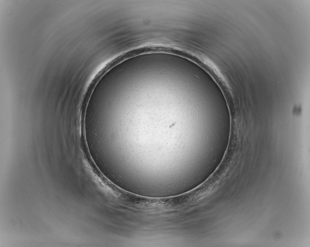 X0000089950791200707201924