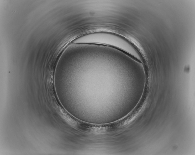 X0000089950793200707201924